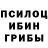 Псилоцибиновые грибы MAGIC MUSHROOMS Divid jones