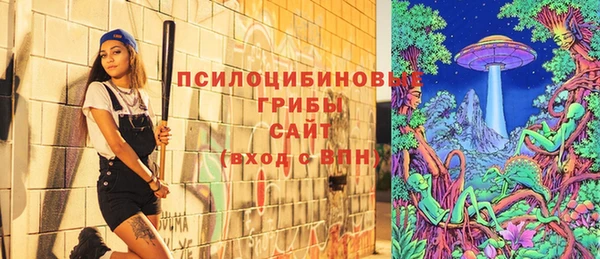 сатива Каменка