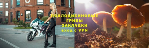 тгк Каменск-Шахтинский