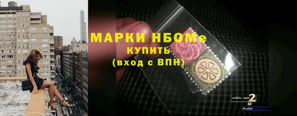 сатива Каменка