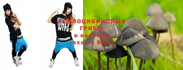 мяу мяу мука Карталы