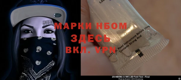 сатива Каменка