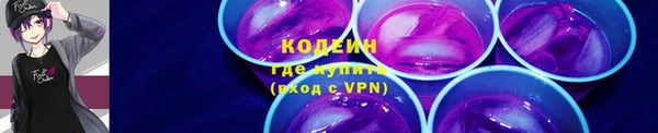 apvp Карпинск