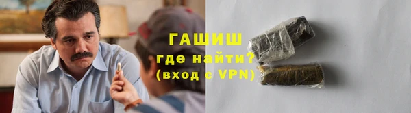 сатива Каменка