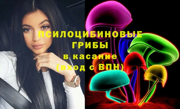 тгк Каменск-Шахтинский