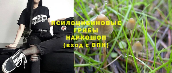 дурь Каменногорск