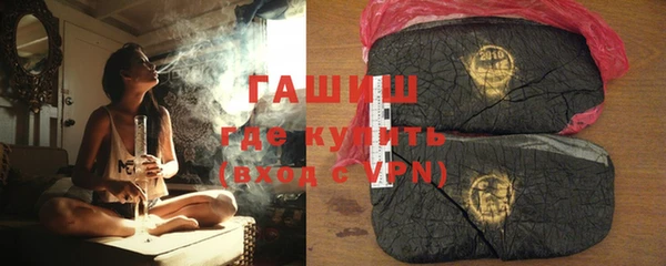 сатива Каменка
