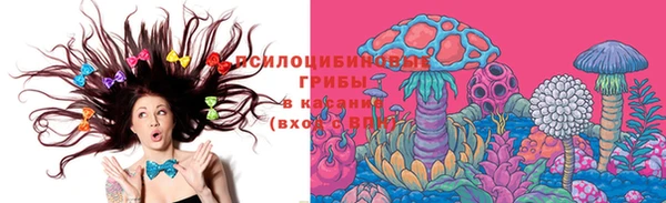 дурь Каменногорск